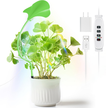 Load image into Gallery viewer, Small Grow Lights for Indoor Plants - Full Spectrum Leaf Shaped LED Plant Light with 4/8/12/18H Timer & Dimmable, Safe for Succulents/Herbs/Potted Small Plants