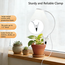 Load image into Gallery viewer, Clip On Plant Grow Lights for Indoor Plants Small Potted - Full Spectrum 3 Modes, 10-Level Dimmer, 3/9/12H Timer & Durable Metal Gooseneck for Succulents,Herbs