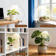 Load image into Gallery viewer, Clip On Plant Grow Lights for Indoor Plants Small Potted - Full Spectrum 3 Modes, 10-Level Dimmer, 3/9/12H Timer & Durable Metal Gooseneck for Succulents,Herbs