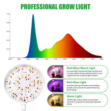 Load image into Gallery viewer, Clip On Plant Grow Lights for Indoor Plants Small Potted - Full Spectrum 3 Modes, 10-Level Dimmer, 3/9/12H Timer & Durable Metal Gooseneck for Succulents,Herbs