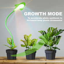 Load image into Gallery viewer, Small Grow Lights for Indoor Plants - Full Spectrum Leaf Shaped LED Plant Light with 4/8/12/18H Timer & Dimmable, Safe for Succulents/Herbs/Potted Small Plants