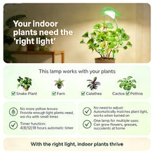 Load image into Gallery viewer, Small Grow Lights for Indoor Plants - Full Spectrum Leaf Shaped LED Plant Light with 4/8/12/18H Timer &amp; Dimmable, Safe for Succulents/Herbs/Potted Small Plants
