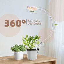 Load image into Gallery viewer, Clip On Plant Grow Lights for Indoor Plants Small Potted - Full Spectrum 3 Modes, 10-Level Dimmer, 3/9/12H Timer &amp; Durable Metal Gooseneck for Succulents,Herbs
