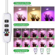 Load image into Gallery viewer, Clip On Plant Grow Lights for Indoor Plants Small Potted - Full Spectrum 3 Modes, 10-Level Dimmer, 3/9/12H Timer &amp; Durable Metal Gooseneck for Succulents,Herbs
