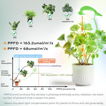 Load image into Gallery viewer, Small Grow Lights for Indoor Plants - Full Spectrum Leaf Shaped LED Plant Light with 4/8/12/18H Timer &amp; Dimmable, Safe for Succulents/Herbs/Potted Small Plants
