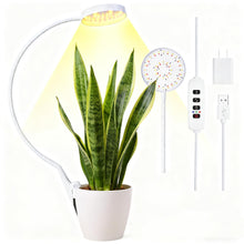 Load image into Gallery viewer, Clip On Plant Grow Lights for Indoor Plants Small Potted - Full Spectrum 3 Modes, 10-Level Dimmer, 3/9/12H Timer &amp; Durable Metal Gooseneck for Succulents,Herbs
