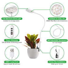 Load image into Gallery viewer, Clip On Plant Grow Lights for Indoor Plants Small Potted - Full Spectrum 3 Modes, 10-Level Dimmer, 3/9/12H Timer &amp; Durable Metal Gooseneck for Succulents,Herbs

