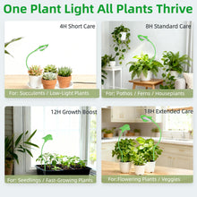 Load image into Gallery viewer, Small Grow Lights for Indoor Plants - Full Spectrum Leaf Shaped LED Plant Light with 4/8/12/18H Timer &amp; Dimmable, Safe for Succulents/Herbs/Potted Small Plants
